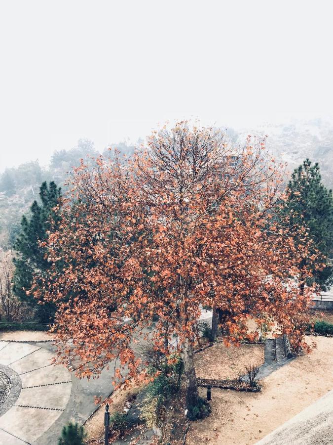 Rock City Resort Mingora 外观 照片